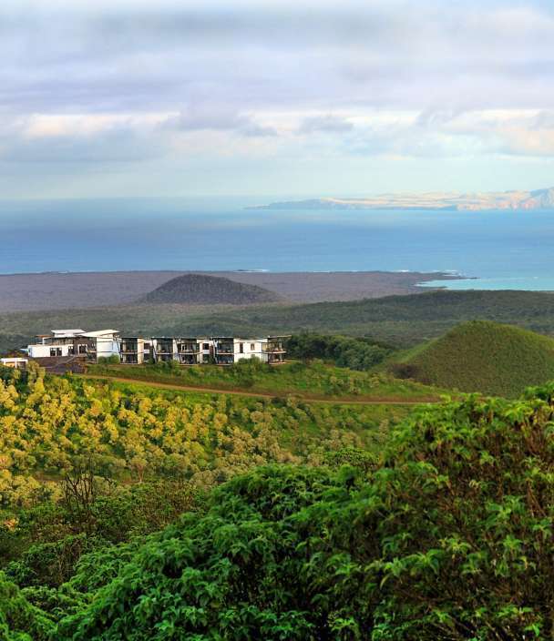 landscape view
