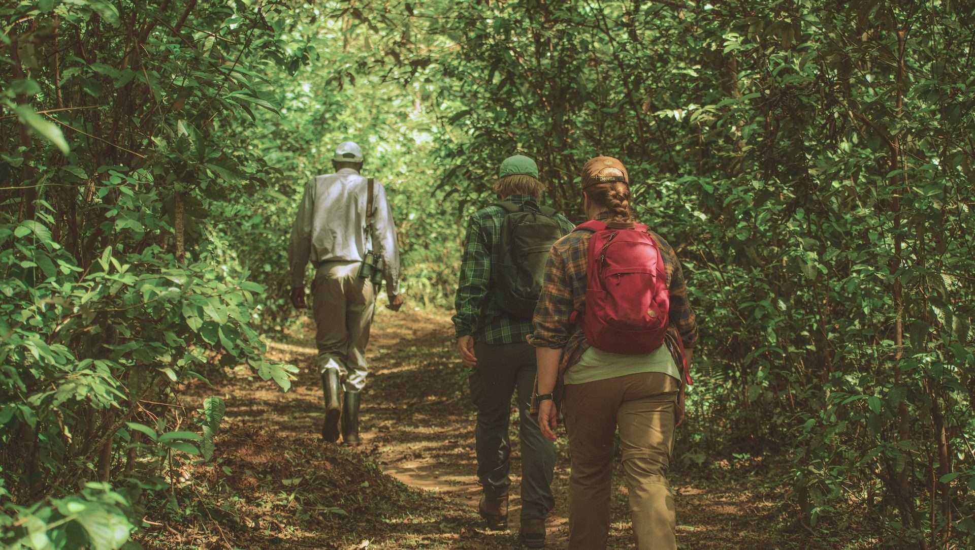 Non profit Impact Travel